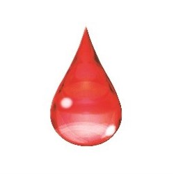 PIN 1LT STRAWBERRY KULAROME*