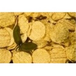 MISSION 74 500Gx6 ROUND CORN CHIPS*