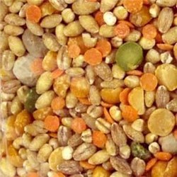 HOYTS 1KG SOUP MIX