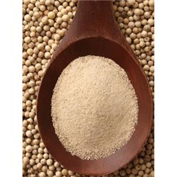 HOYTS 500G GROUND WHITE PEPPER