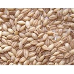HOYTS 1KG PEARL BARLEY