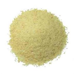 HOYTS 1KG GARLIC POWDER