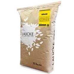 LK 25KG MONJON SPECIALTY BISCUIT FLOUR