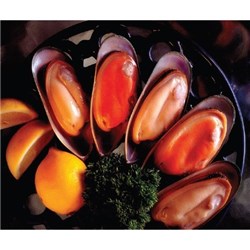 SANFORD 1KG 1/2 SHELL LARGE MUSSELS