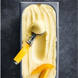 NV 5LT MANGO SORBET
