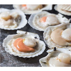 1KG 20/30 JAP SCALLOP ROE ON