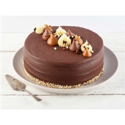 SBN 9IN MARZ ATTACKS CAKE*