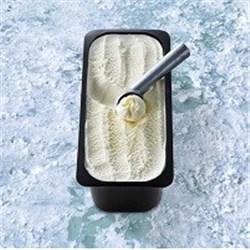 EF 5LT VANILLA BEAN  ICE CREAM