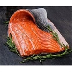 AQU 1.3 AV OCEAN TROUT FILLET S/ON W/O P/BND*
