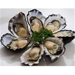 AQU 1DOZ PACIFIC OYSTERS LARGE OPEN*