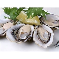 AQU 1 DOZ OYSTER PACIFIC BISTRO OPENED (SML)*