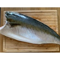 AQU 1.2KG KINGFISH HIRAMASHA FILLET S/ON W/ON*