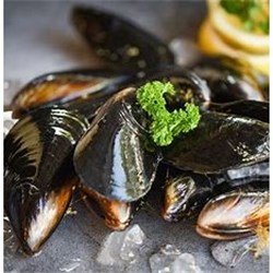 AQU 1KG MUSSEL SPRING BAY (TAS) VAC PACK  FRESH*