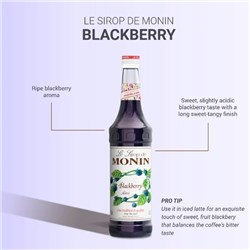 MONIN 700ML BLACKBERRY SYRUP*
