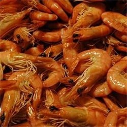 AQU 1KG PRAWN KING(STH AUST) WHOLE COOKED U/10