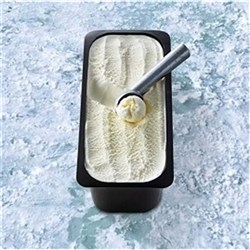 EF 4LT PREMIUM VANILLA ICE CREAM