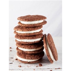 SBN VANILLA BEAN BROOKIE (10)*