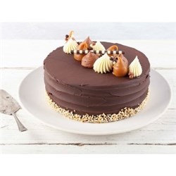 SBN 7IN MARZ ATTACKS CAKE*