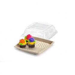 ANCHOR CLEAR LID 10.7"x25 SQ PLATTER(PET){BULK}