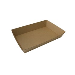 ANCHOR 100xTRAY 5 (255x179x58) BETABOARD{BULK}