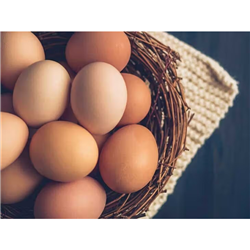 PACE 700G x 12 PRE PACK EGGS