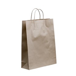 AB TWIST HANDLE MEDIUM PAPER BAG 42x32x10CM (250)