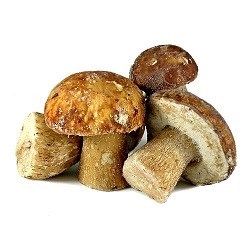 CHAMPI'GEL 1KG x 10 FROZEN WHOLE PORCINI 2-4CM*