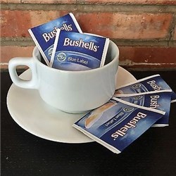 BUSHELLS x100 ENVELOPE TEA BAGS