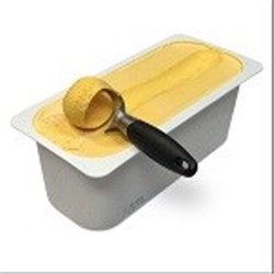 GOLDEN NORTH 5LT JUICY MANGO SORBET