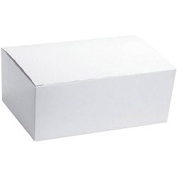 FPA 250 X SMALL SNACK BOX PLAIN WHITE (175x105x57)