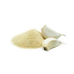 HOYTS 500G GARLIC POWDER