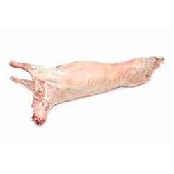 BLB 24KG R/W SHAZAM LAMB WHOLE*