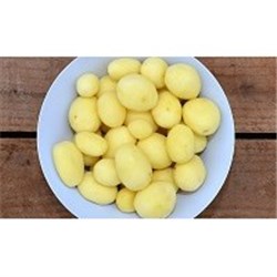 CONAPAK 10KG PEELED CHAT POTATOES*