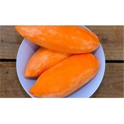 CONAPAK 5KG PEELED SWEET POTATO*