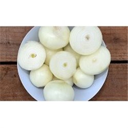 CONAPAK 10KG PEELED BROWN ONION*