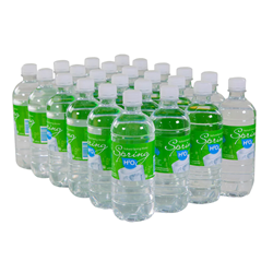 SPRING H2O 600MLx24 SPRING WATER