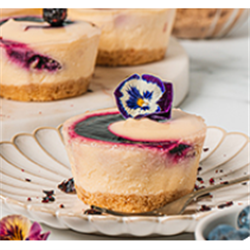 PRIESTLEYS 8 x IND BLUEBERRY CHEESECAKE