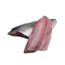 AQU 1.2KG KING FISH FILLET WING ON SASHIMI GRADE*