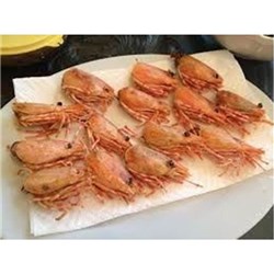 AQU 1KG PRAWN HEADS*