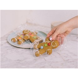 SBN GINGER MEG BISCUITS GOOD TO GO (10)*