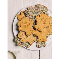 SBN (10) VEGAN GF BIG TED BISCUITS*