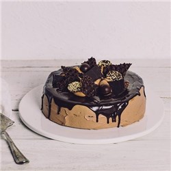 SBN 12IN MISSISSIPPI MUD CAKE*