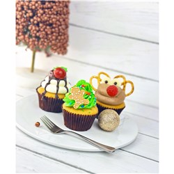 SBN (6) FESTIVE FUN ASSORTED CUPCAKES*