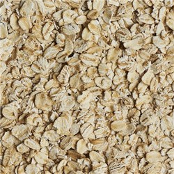 NSM 1KG ROLLED OATS S28