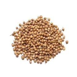 NSM 1KG CORIANDER SEEDS