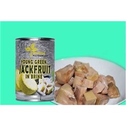 YOUNG GREEN 565G JACKFRUIT IN BRINE