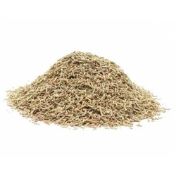 NSM 500GM ROSEMARY SIFTED