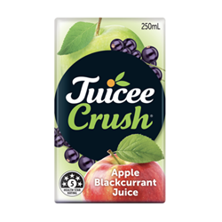 JUICEE 4x6x250ML APPLE B/CURRANT COMBI