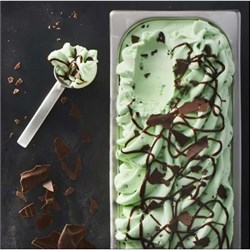 EF 5LT ARTISAN PEPPERMINT FUDGE GELATO*