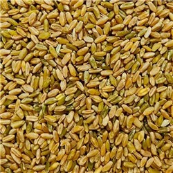 NSM 1KG WHOLE FREEKEH